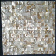 Schillernde chinesische Fluss Shell Mosaik Fliese (HMP61)